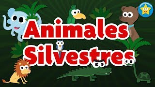 Wild animals in Spanish for children - Learn Videos screenshot 5