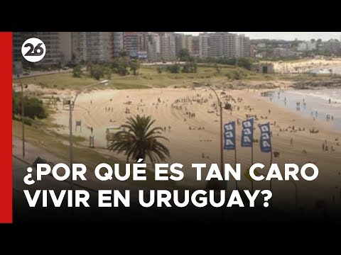 PRECIOS POR LAS NUBES | ¿Por qué es tan caro vivir en Uruguay?