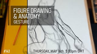 Figure Drawing &amp; Anatomy - Gesture Poses #143