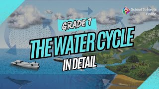 Grade 7 The Water Cycle in Detail