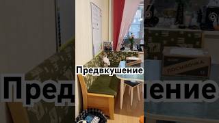 Предвкушение #собака #джекрасселтерьер #dog #jackrussellterrier #dogs #pets