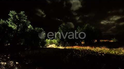 Thunderstorm Clouds with Lightning in Green Meadow | Motion Graphics - Envato elements