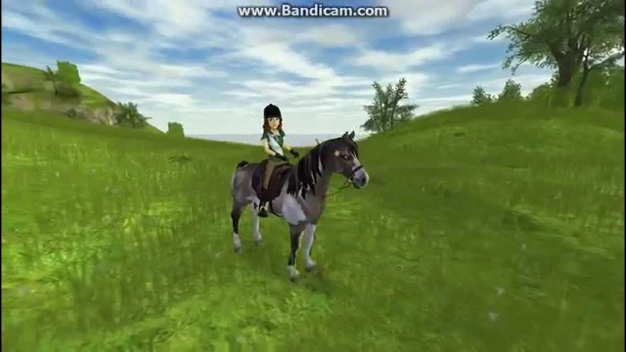 SSO American Paint Horse Riding Animations YouTube
