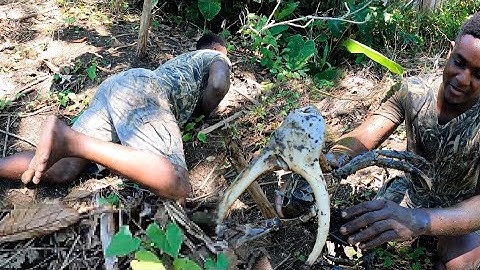 Giant Crab Barehanded | Catch & Cook Curry Crab