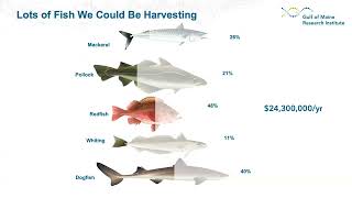 State of Maine Offshore Wind Roadmap Advisory Committee - Listening & Learning Session on Fisheries