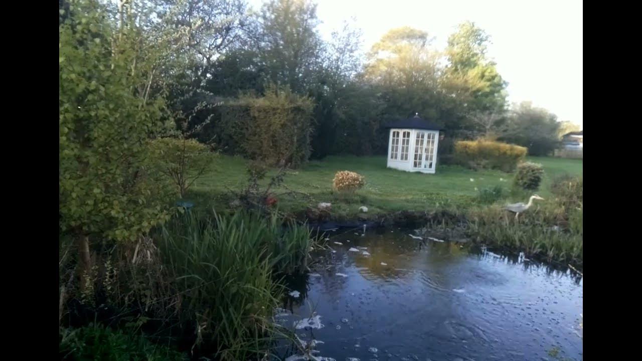 Stopping Heron using fishing line and TallGuard deterrent YouTube