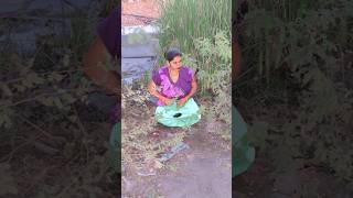 Download Lagu A disabled duckling helps his cat friend😋 #duckrescue #cuteanimals #animaanimals MP3