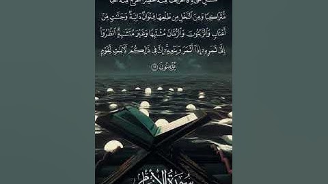 سورة الأنعام | Al-An‘ām | آية 99 | الشيخ وديع اليمني