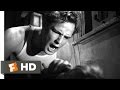 A Streetcar Named Desire (7/8) Movie CLIP - Pearls Before Swine (1951) HD