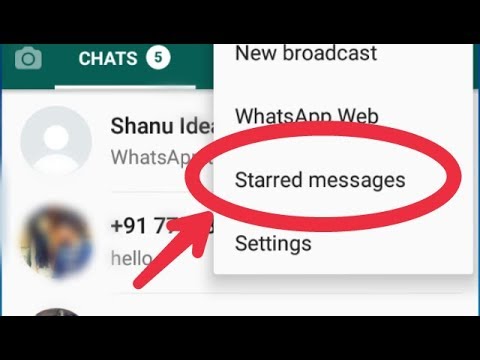 Whatsapp || What