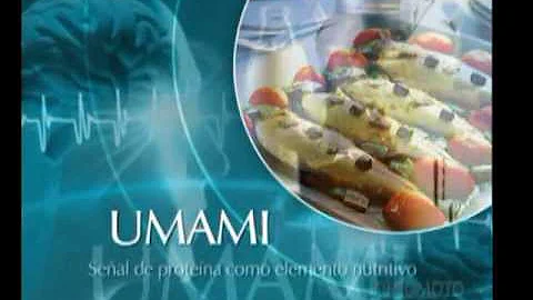 Dove si percepisce il gusto umami?