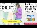 how to keep a dog in an apartment that does not allow dogs video how to keep a dog in an apartment that does not allow dogs video