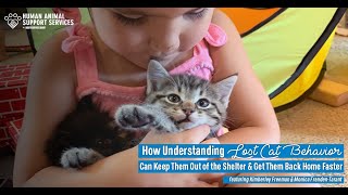 How Understanding Lost Cat Behavior Can Keep Them Out of the Shelter and Get Them Back Home Faster