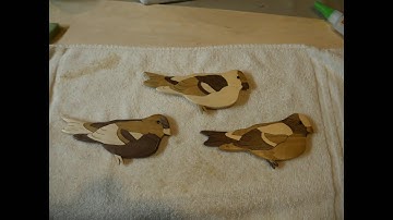 Scroll saw segmentation bird instruction