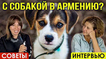 ПЕРЕДЕРЖКА СОБАК, ВЕТЕРИНАРЫ | СОВЕТЫ ВЛАДЕЛЬЦАМ ПИТОМЦЕВ | ИНТЕРВЬЮ