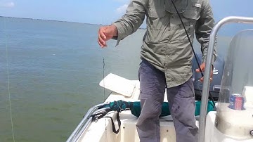 câu cá đù phan ri