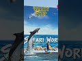 Do not miss the Dolphin Show at Safari World, Bangkok. Part 7