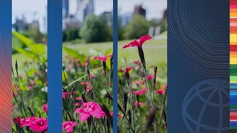 COP26: Moving Cities to a Cleaner Future