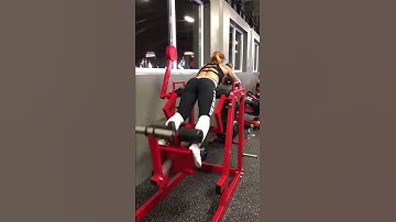 Reverse Hyperextension Machine 1V