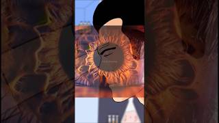 Human Eye Through Microscope #shorts