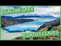 8 Datos para llegar al Glaciar Grey en Torres Del Paine | Tips de Viaje