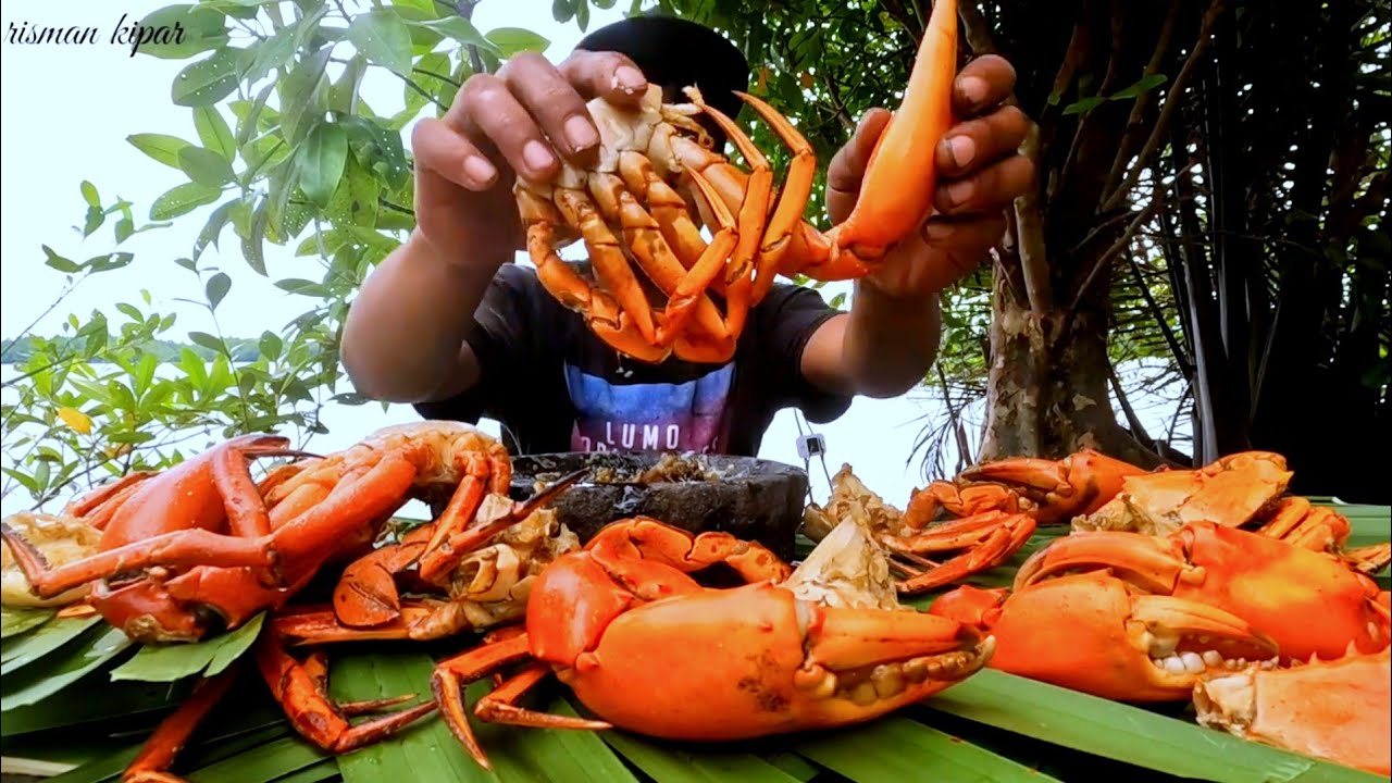 Cook and eat big mud crabs in nature