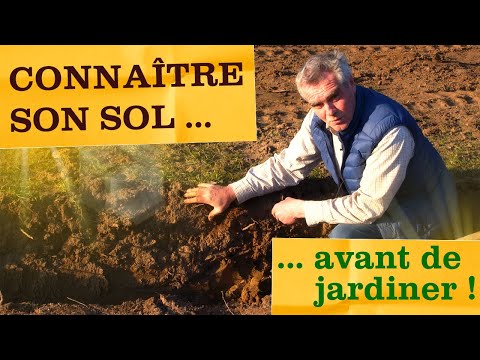 Vidéo: Jardiner avec de la texture : comment utiliser la texture dans le jardin