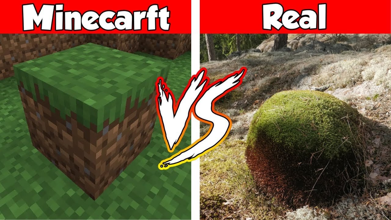 MINECRAFT ENDER EYE IN REAL LIFE! Minecraft vs Real Life animation