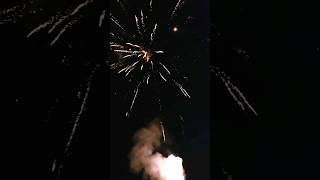 Private Firework Show