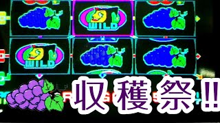 【メダルゲーム】ジョーカーズワイルド TOPLINEを探す旅 Part 8