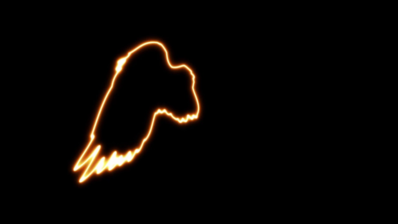 Neon wings | Free Black screen