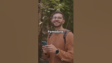 Boost Your Workflow: Top 5 Productivity Tools of 2025!