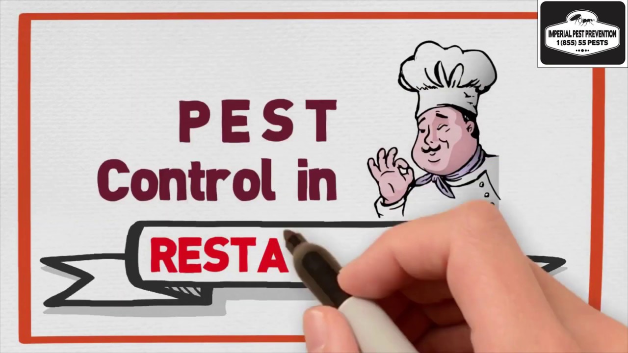 Commercial Pest Control