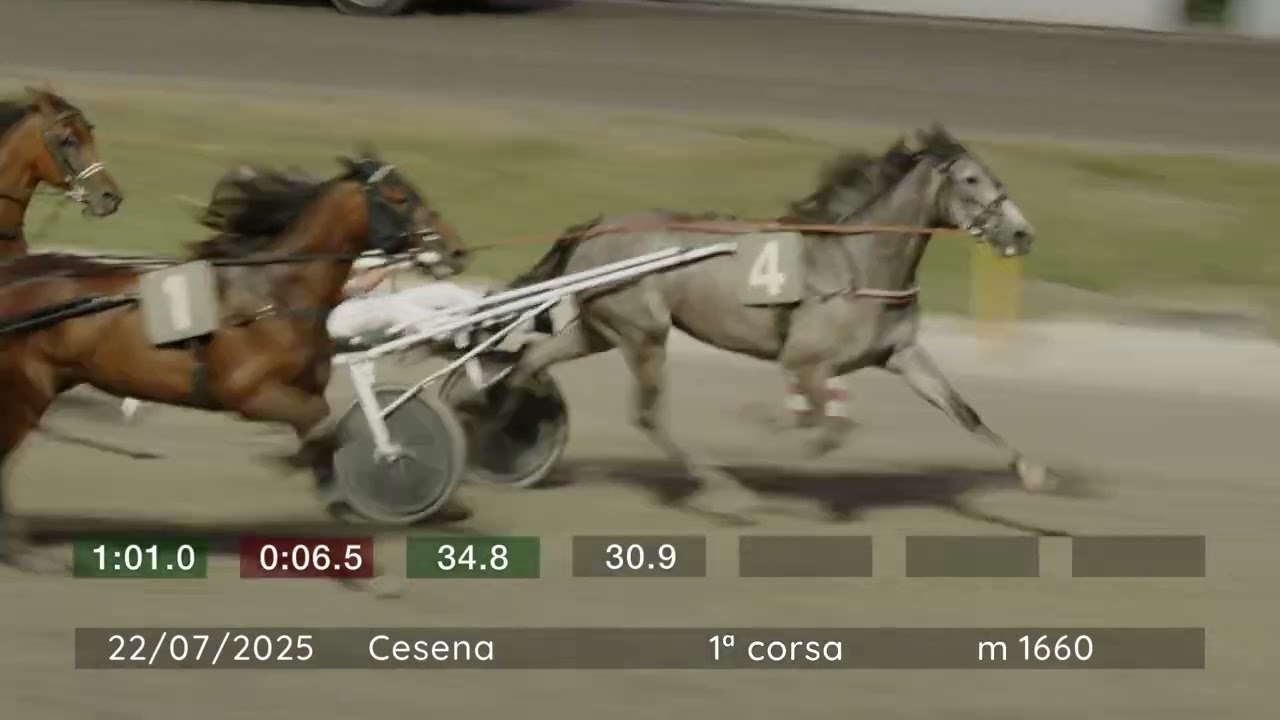 2025 07 22 | Corsa 1 | Metri 1660 | Premio Studio Ing.Massimo Amadio - Tomaso Grassi Award 2025