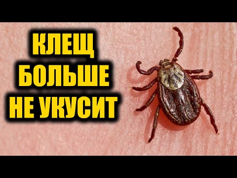 Энцефалитный Клещ Больше Не Укусит! Проверенный Годами Способ От Клещей