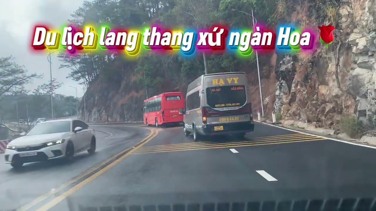 Du lịch Đà Lạt mùng 10 Tết 2026