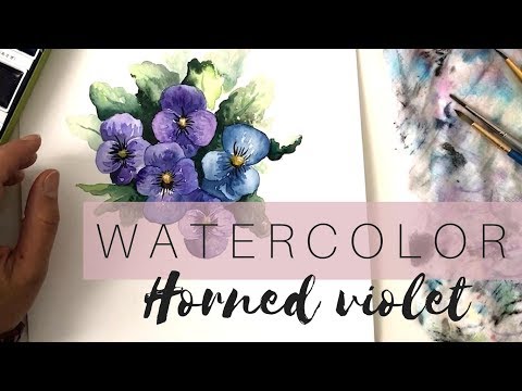 Video: Horned Violet