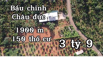 Đã bán Chủ Bán mảnh vườn đẹp vuông vức đường nhựa thông thoáng ở bàu chinh châu đức bà rịa vũng tàu