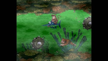 Donkey Kong Country: 101% - Level 5-4: Poison Pond