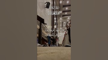 سورة آل عمران 🤍 #محمد_اللحيدان #تلاوة_خاشعة