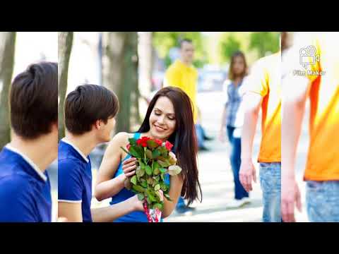 من كولاك ديت شناف كولا اجمل اغنية كردية اجمل حالات واتس أب اغنية كردية