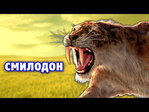 Саблезубый тигр | СМИЛОДОН | Вымершие животные. Видео про животных