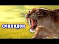 Саблезубый тигр | СМИЛОДОН | Вымершие животные. Видео про животных