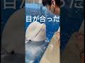 つながった、その瞬間