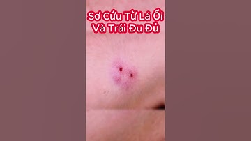 Cách Sơ Cứu Dể Dàng Khi Bị Rắn Lục Đuôi Đỏ Cắn #shorts