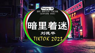 🆕2023最火歌曲DJ Remix 抖音版 / 最佳Tik Tok混音音樂 : 刘德华-暗里着迷 / 別知己 - 海來阿木 / 你的万水千山 /...💝Chinese Dj Remix 2023