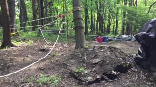 Uprooting a tree using a 45 to 1 pulley system by YankeeDiver 4,241,715 views 7 years ago 10 minutes, 23 seconds