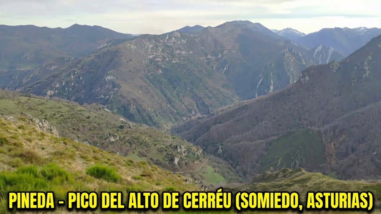 Pineda - pico del alto de Cerréu (Somiedo, Asturias)