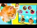 DIY Cat Hotel with Cute Kittens & Cat Toilet | Cardboard Crafts on Box Yourself