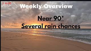 WFIN News 2 | Live, Local, Breaking News